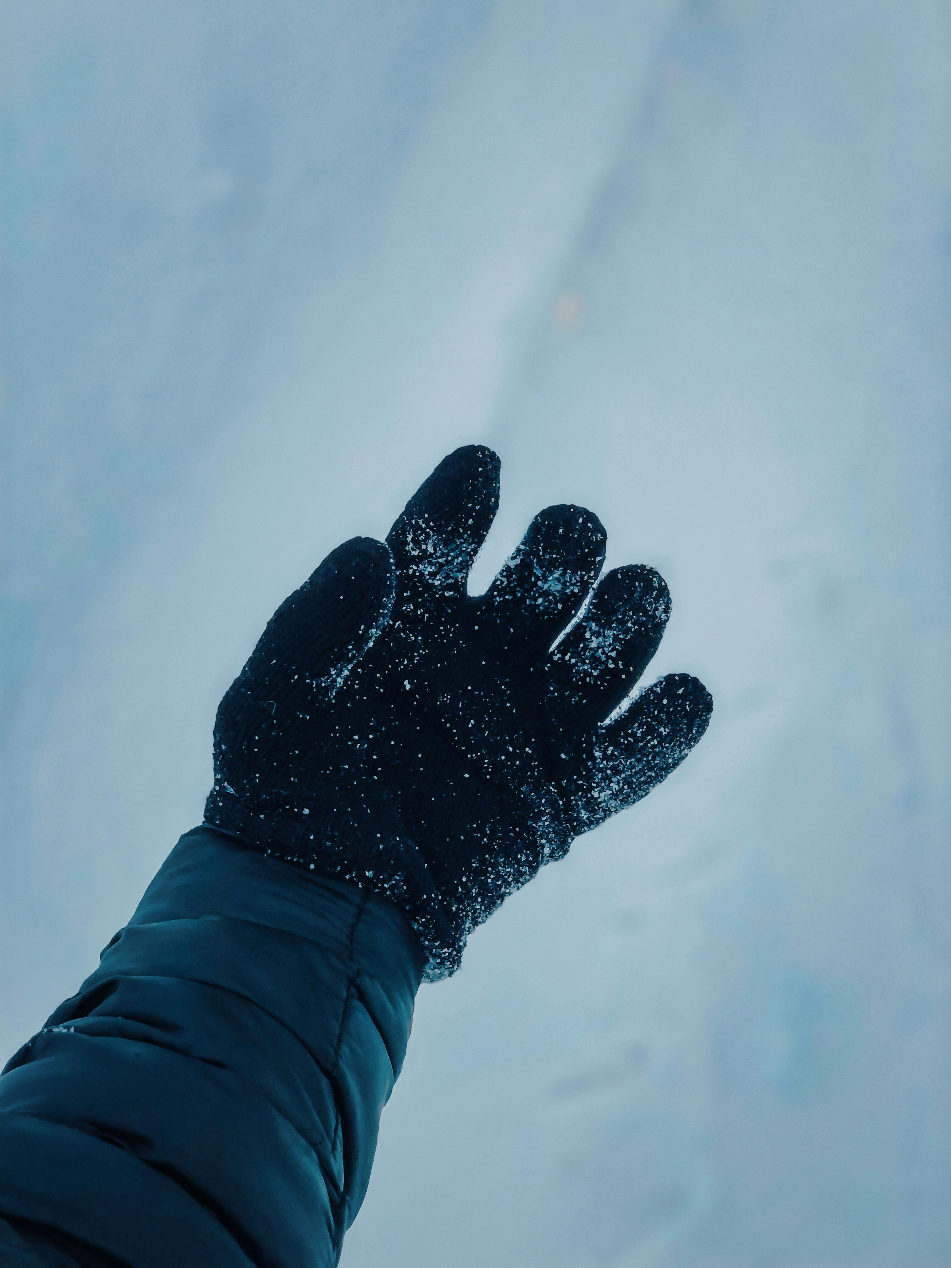 Thank you to SERHAT TUĞ and Pexels for the image